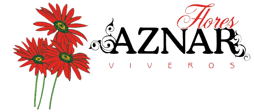 logo-vivereos-flores-aznar